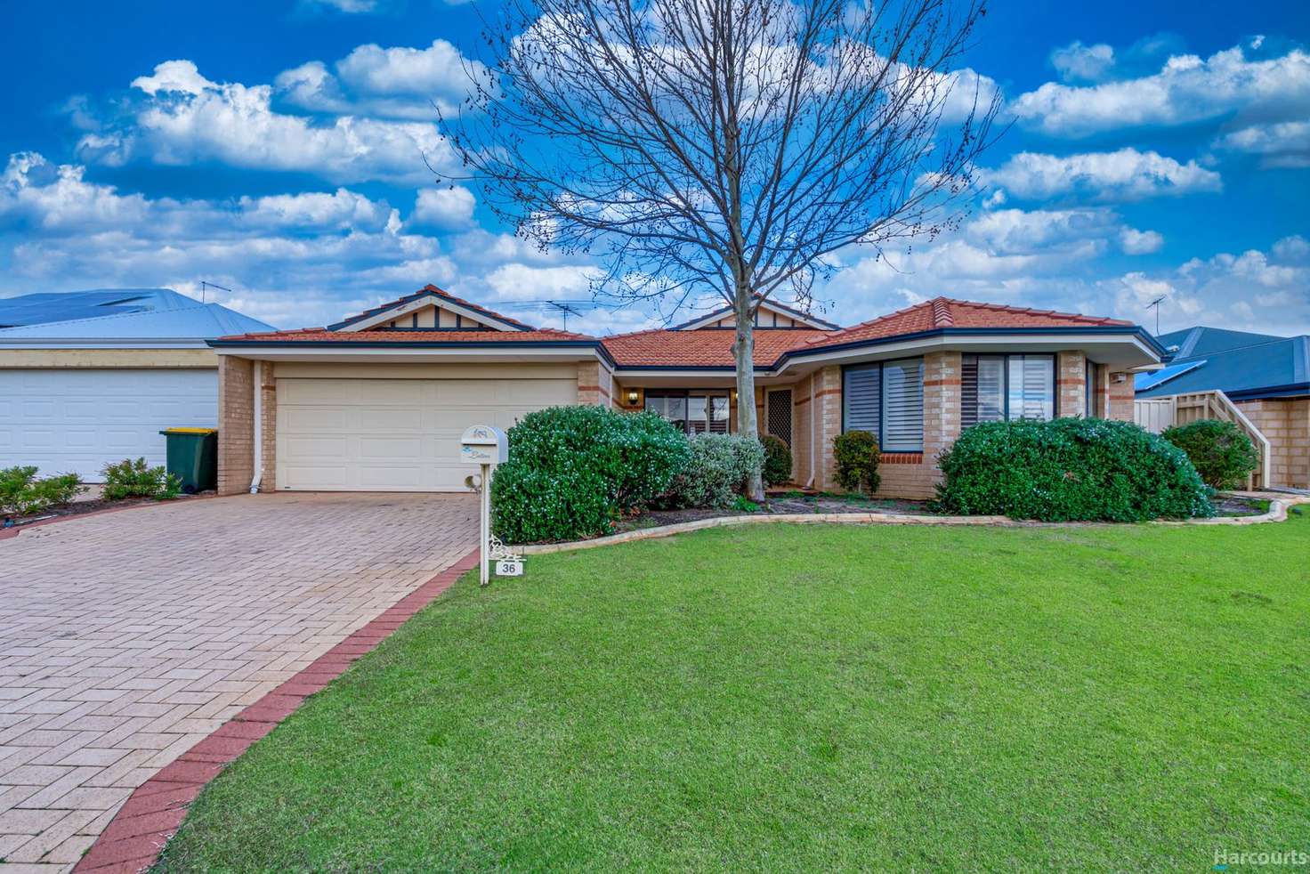 Main view of Homely house listing, 36 Stormbird Loop, Currambine WA 6028