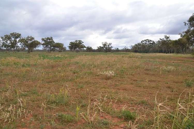 Seventh view of Homely ruralOther listing, * Wilga, Cobar NSW 2835