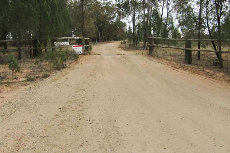 Main view of Homely ruralOther listing, 1539 Caloola Road, Boggabri NSW 2382