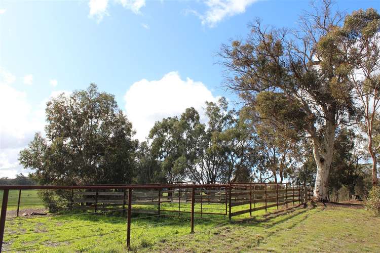 Third view of Homely ruralOther listing, 177 Vanzuilecom Road, Kojonup WA 6395