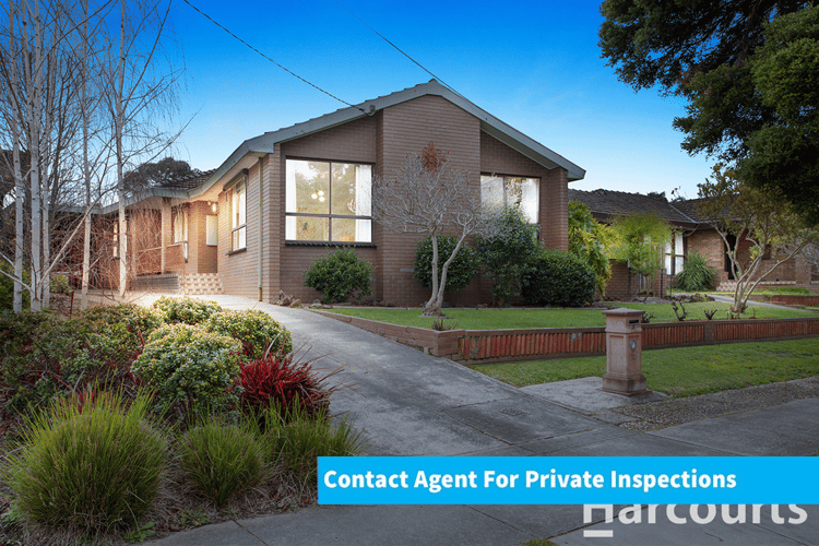 Main view of Homely house listing, 13 Citrus Street, Vermont South VIC 3133