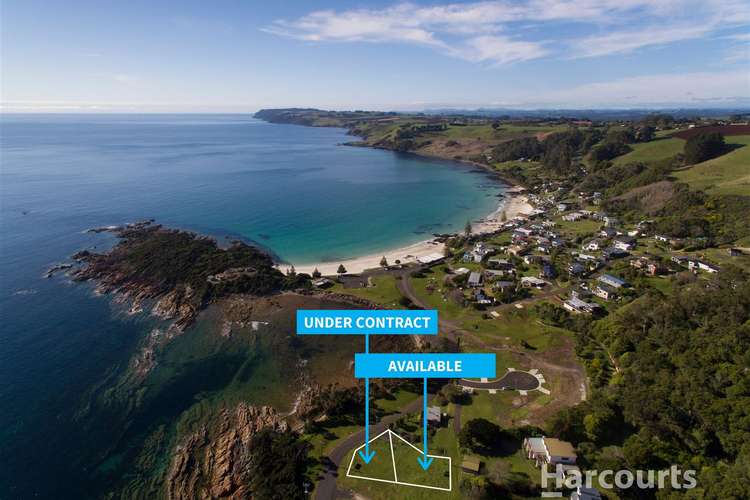 305 Port Road, Boat Harbour Beach TAS 7321