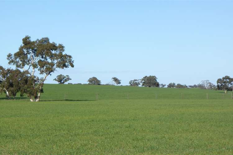 Main view of Homely ruralOther listing, 530 Ova Flow Road, Keith SA 5267