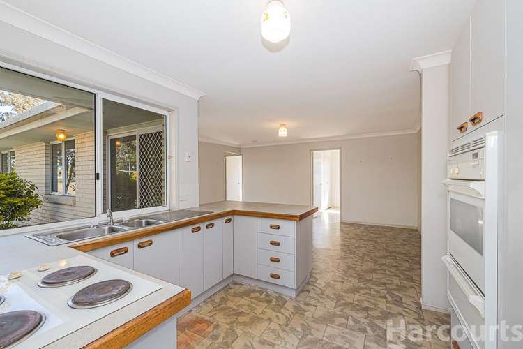 Second view of Homely house listing, 36 Oleander Drive, Bongaree QLD 4507