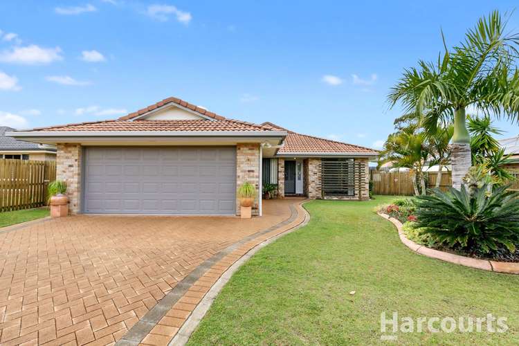 Main view of Homely house listing, 3 Gallery Court, Kawungan QLD 4655
