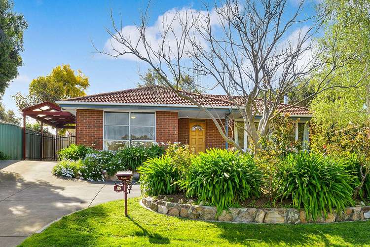 Main view of Homely house listing, 17 Musgrave Avenue, Aberfoyle Park SA 5159