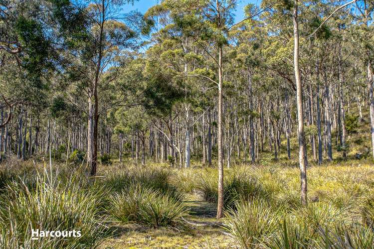 Seventh view of Homely residentialLand listing, Lot 3 Knights Road, Huonville TAS 7109