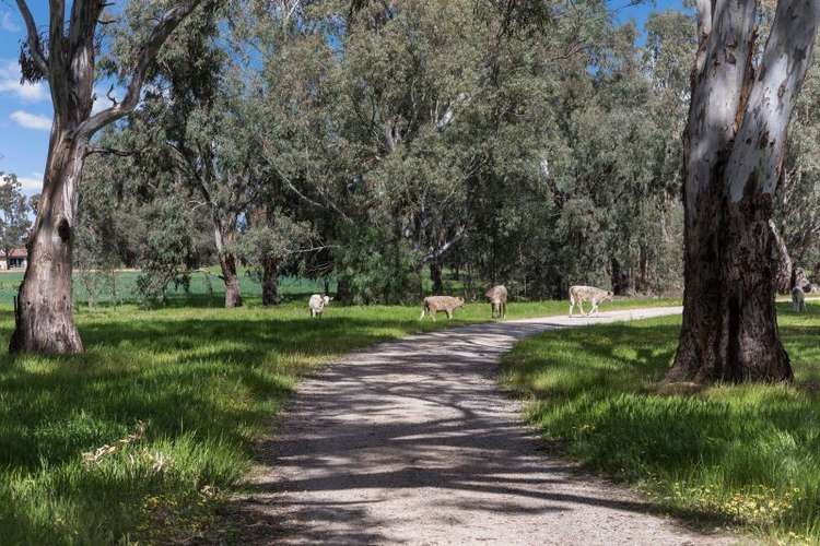 Sixth view of Homely ruralOther listing, 2180 Scobie Rd, Yambuna VIC 3621