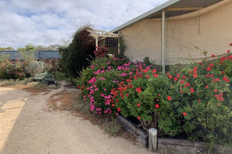 Main view of Homely acreageSemiRural listing, 23 Hicks Road, Merredin WA 6415