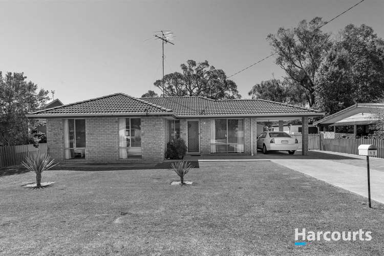 Main view of Homely house listing, 12 Nerine Street, Falcon WA 6210