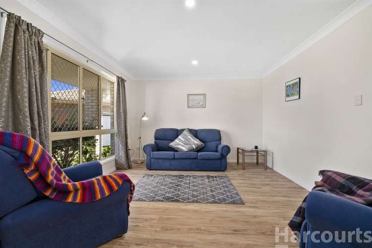 Third view of Homely house listing, 16 Cobea Court, Bongaree QLD 4507