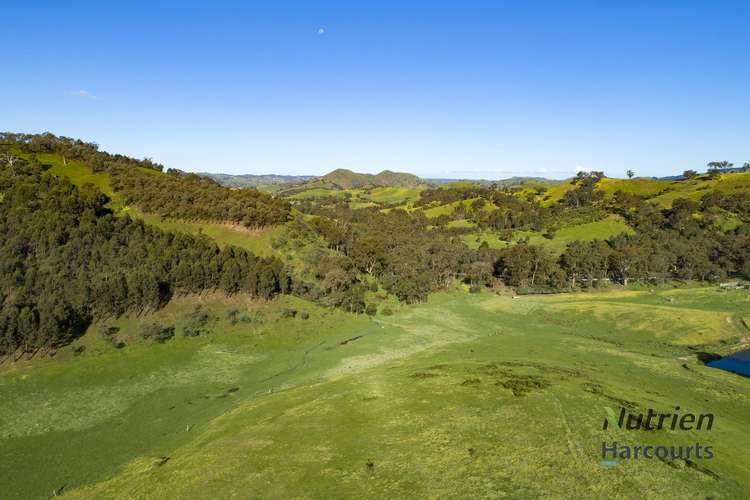 Main view of Homely ruralOther listing, 1409 Broadford-Flowerdale Road, Strath Creek VIC 3658