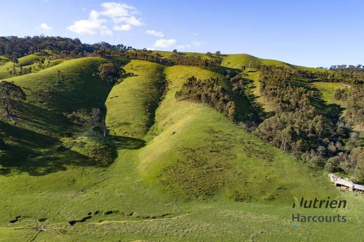 Fifth view of Homely ruralOther listing, 1409 Broadford-Flowerdale Road, Strath Creek VIC 3658