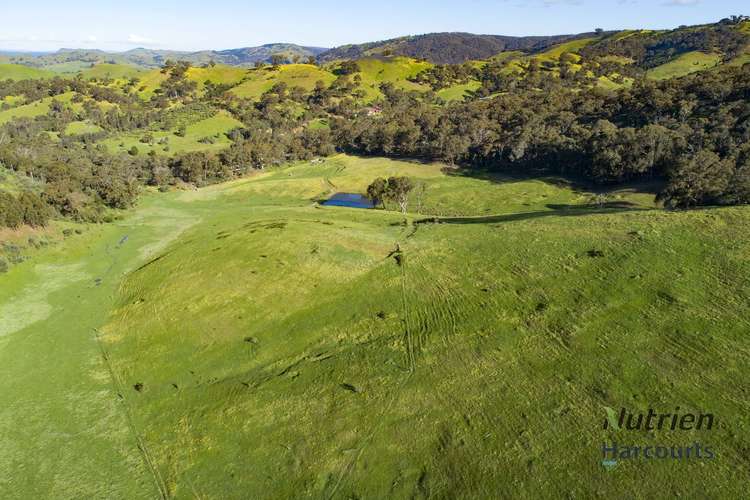 Sixth view of Homely ruralOther listing, 1409 Broadford-Flowerdale Road, Strath Creek VIC 3658