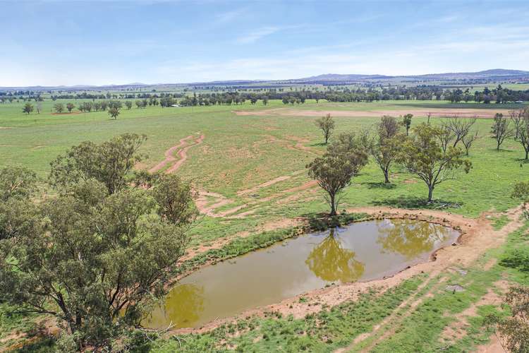 Fourth view of Homely ruralOther listing, 37 Evans Lane Appleby, Tamworth NSW 2340