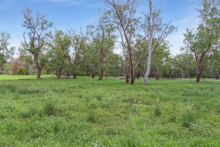 Sixth view of Homely ruralOther listing, 37 Evans Lane Appleby, Tamworth NSW 2340