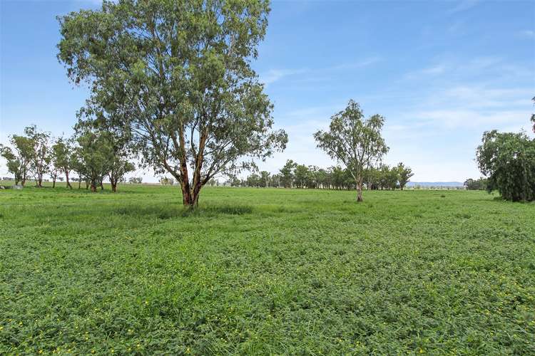 Seventh view of Homely ruralOther listing, 37 Evans Lane Appleby, Tamworth NSW 2340