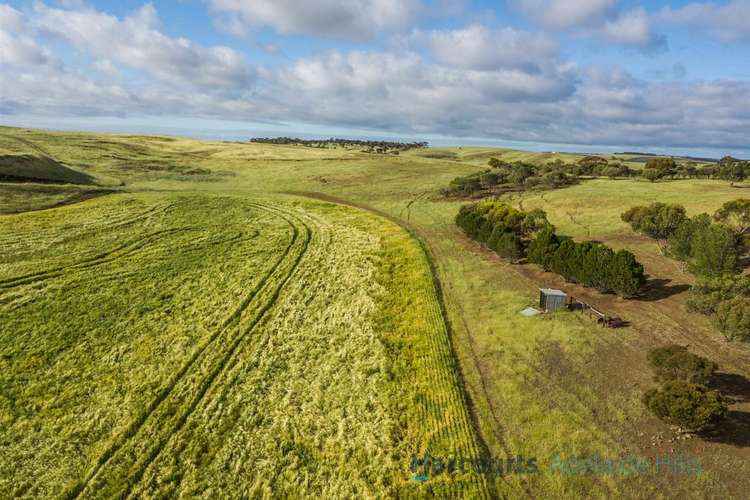 Seventh view of Homely acreageSemiRural listing, 1002 Back Callington Road, Callington SA 5254