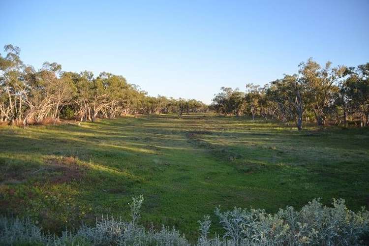 Sixth view of Homely ruralOther listing, * Yanda Downs, Cobar NSW 2835