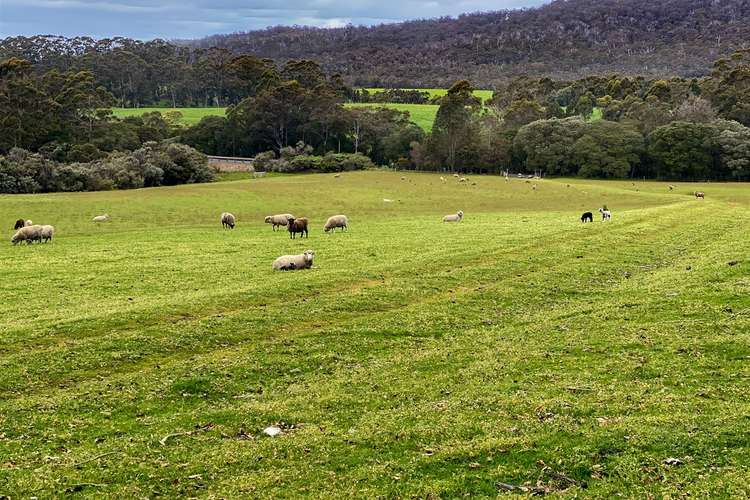 Sixth view of Homely ruralOther listing, 1800 South Coast Highway, Denmark WA 6333