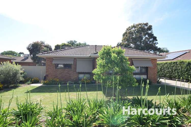 Main view of Homely flat listing, 1/10 Skehan Avenue, Wangaratta VIC 3677