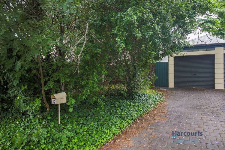 Third view of Homely house listing, 12 L'Estrange Street, Glenside SA 5065