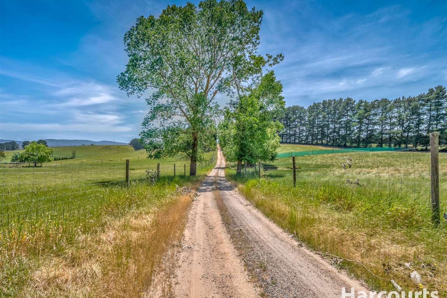 Main view of Homely acreageSemiRural listing, 931 Moe Rawson Road, Tanjil South VIC 3825