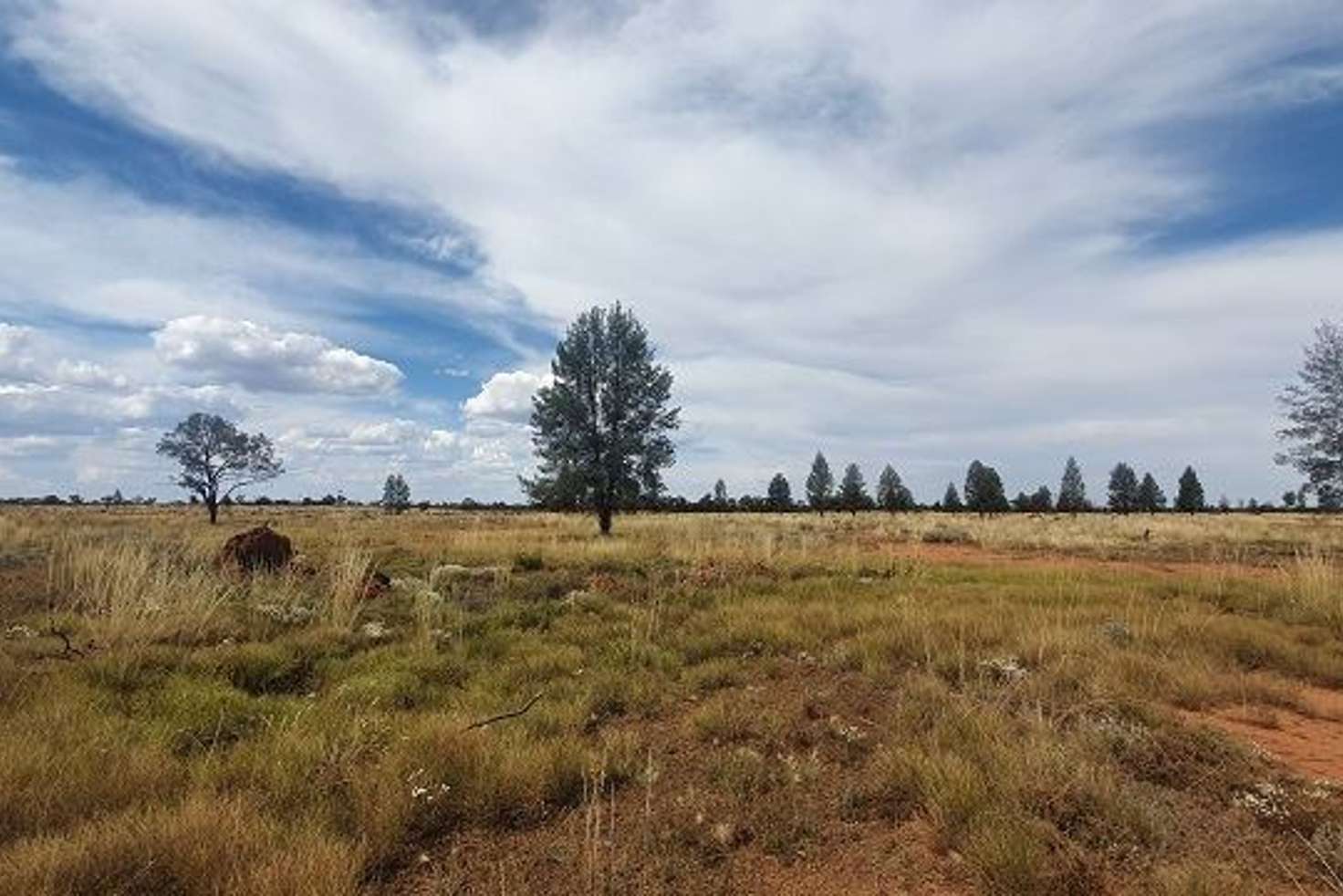 Main view of Homely ruralOther listing, * Coronga Downs, Cobar NSW 2835