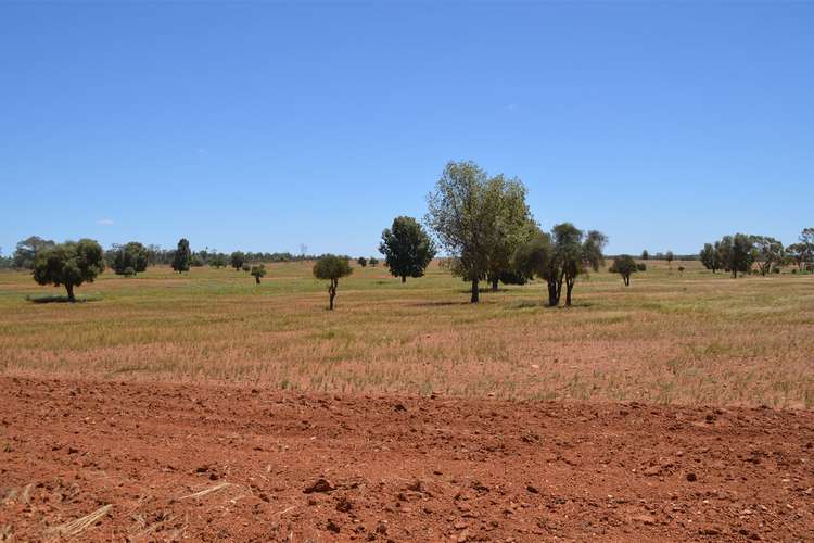 Second view of Homely ruralOther listing, * Windera Station, Cobar NSW 2835