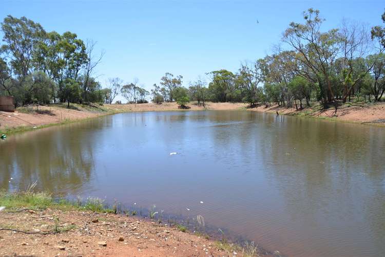 Sixth view of Homely ruralOther listing, * Windera Station, Cobar NSW 2835