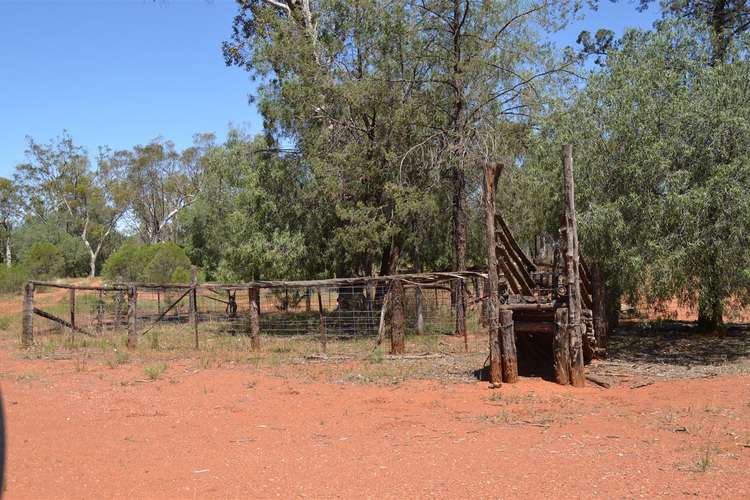 Seventh view of Homely ruralOther listing, * Windera Station, Cobar NSW 2835