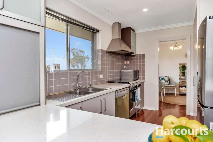 Seventh view of Homely house listing, 20 Dampier Avenue, Falcon WA 6210