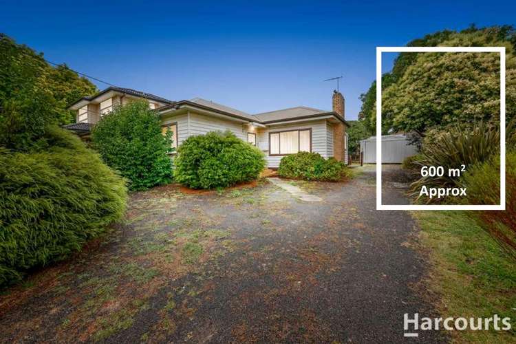 Main view of Homely house listing, 16 Carinya Road, Vermont VIC 3133