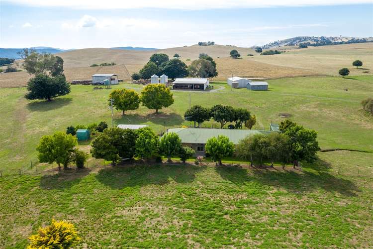 Main view of Homely ruralOther listing, Ravenhoe Walteela Road, Tumbarumba NSW 2653