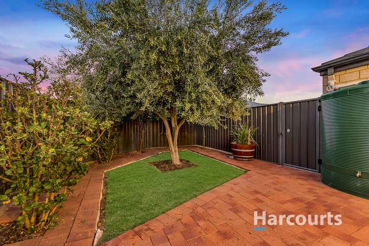 Sixth view of Homely house listing, 1 Seed Link, Banksia Grove WA 6031