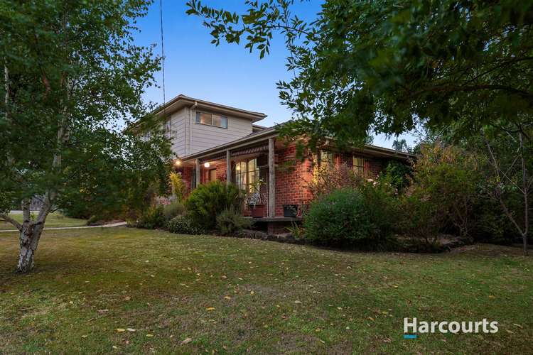 Third view of Homely house listing, 33 Sherman Drive, Bayswater North VIC 3153