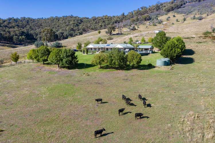 Sixth view of Homely ruralOther listing, 155 Basin Creek Road, Yackandandah VIC 3749