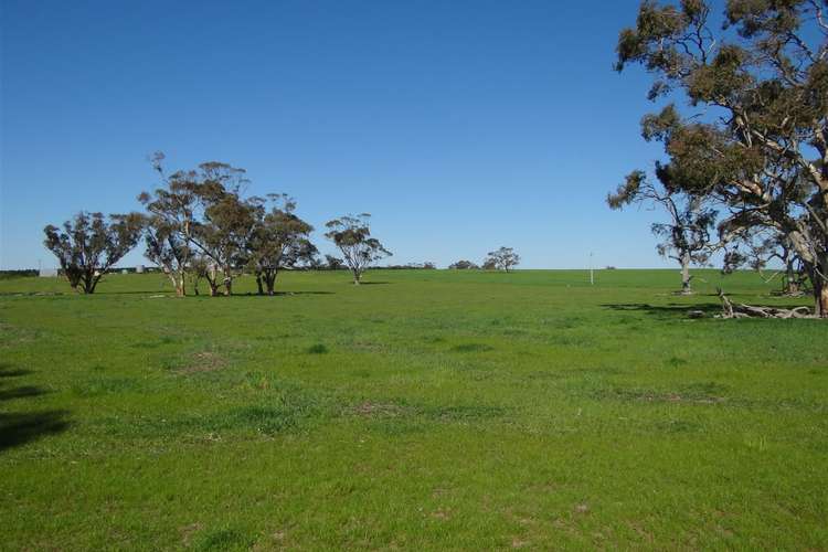 Third view of Homely ruralOther listing, 97 Serviceton North-Telopea Downs Rd, Serviceton VIC 3420
