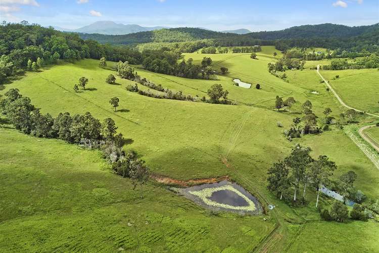 Second view of Homely ruralOther listing, 629 Upper Rollands Plains Road, Rollands Plains NSW 2441