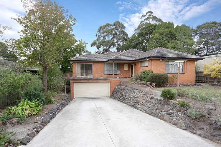 Main view of Homely house listing, 6 Sadie Street, Mount Waverley VIC 3149