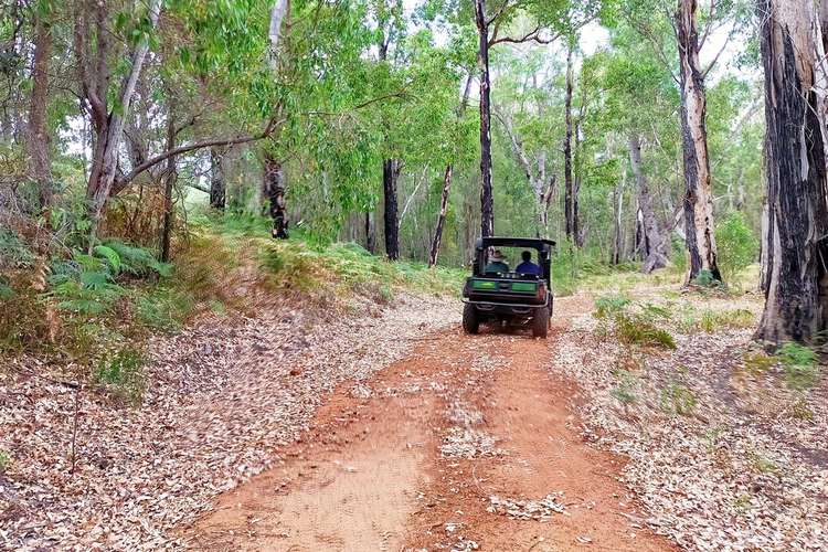 Sixth view of Homely ruralOther listing, 76 Fernwood Glen, Orange Springs, Gingin WA 6503