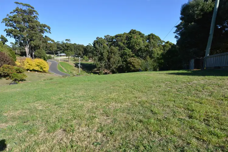 Main view of Homely land listing, 61 Deviation Road, Penguin TAS 7316
