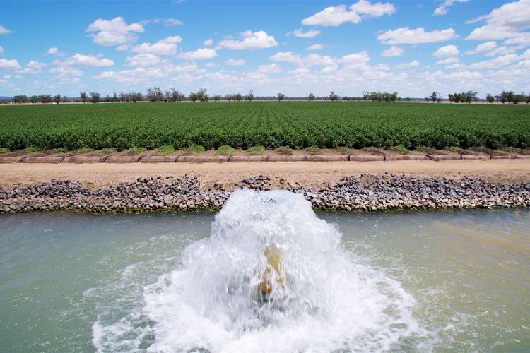 . Upper & Lower Namoi Temporary Water Auction, Narrabri NSW 2390