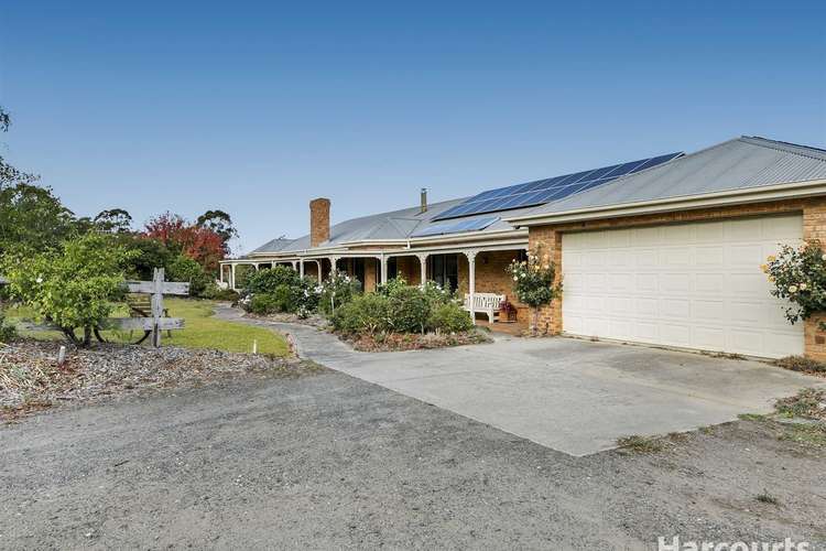 Fourth view of Homely acreageSemiRural listing, 1087 Moe Willow Grove Road, Willow Grove VIC 3825