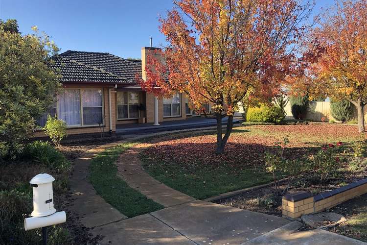 Main view of Homely house listing, 10 Roache Street, Kaniva VIC 3419