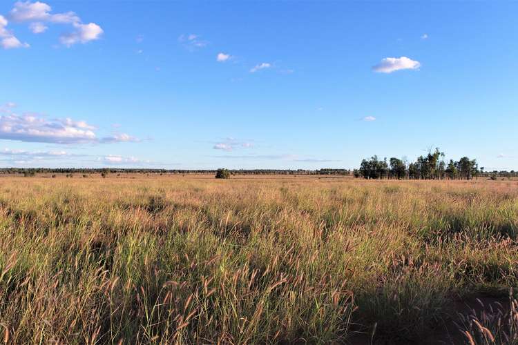 Main view of Homely ruralOther listing, 317 Nindinna Road, Roma QLD 4455