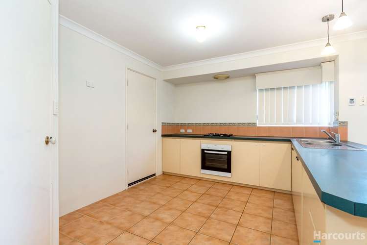 Fifth view of Homely house listing, 142 Caledonia Avenue, Currambine WA 6028