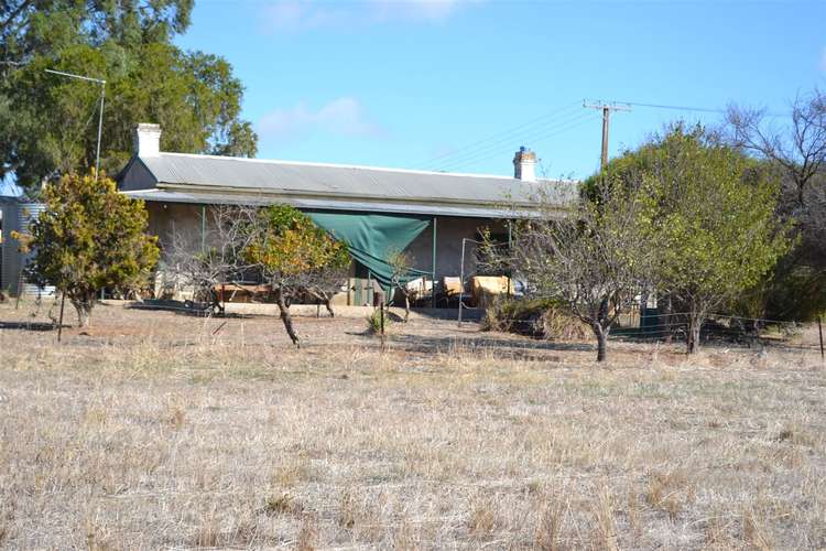 Main view of Homely lifestyle listing, 28 Robinson Road, Clare SA 5453