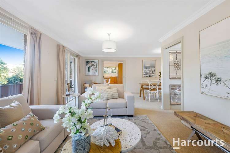 Fifth view of Homely house listing, 11 Miller Road, Heathmont VIC 3135