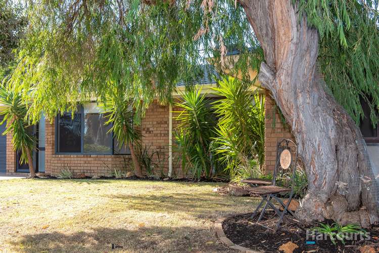 Second view of Homely house listing, 11 Britannia Way, Craigie WA 6025